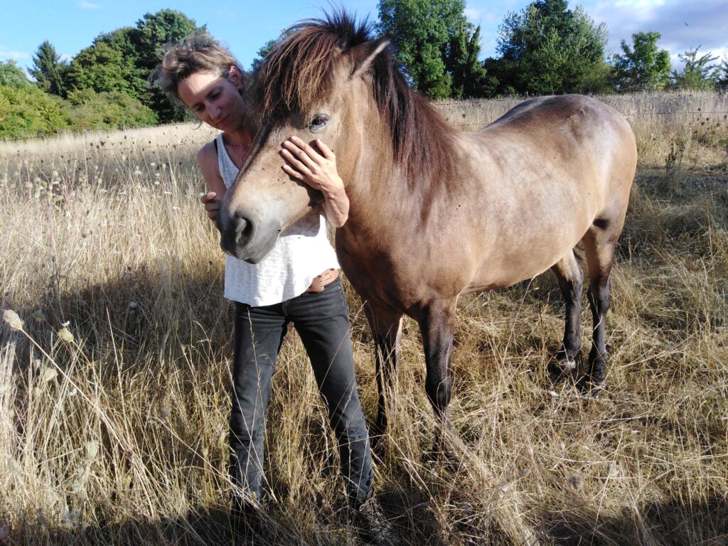 shiatsu-équin-normandie-seine-maritime-eure-parage-physiologie-naturel-chevaux-cheval-bien-être-perrine-serano