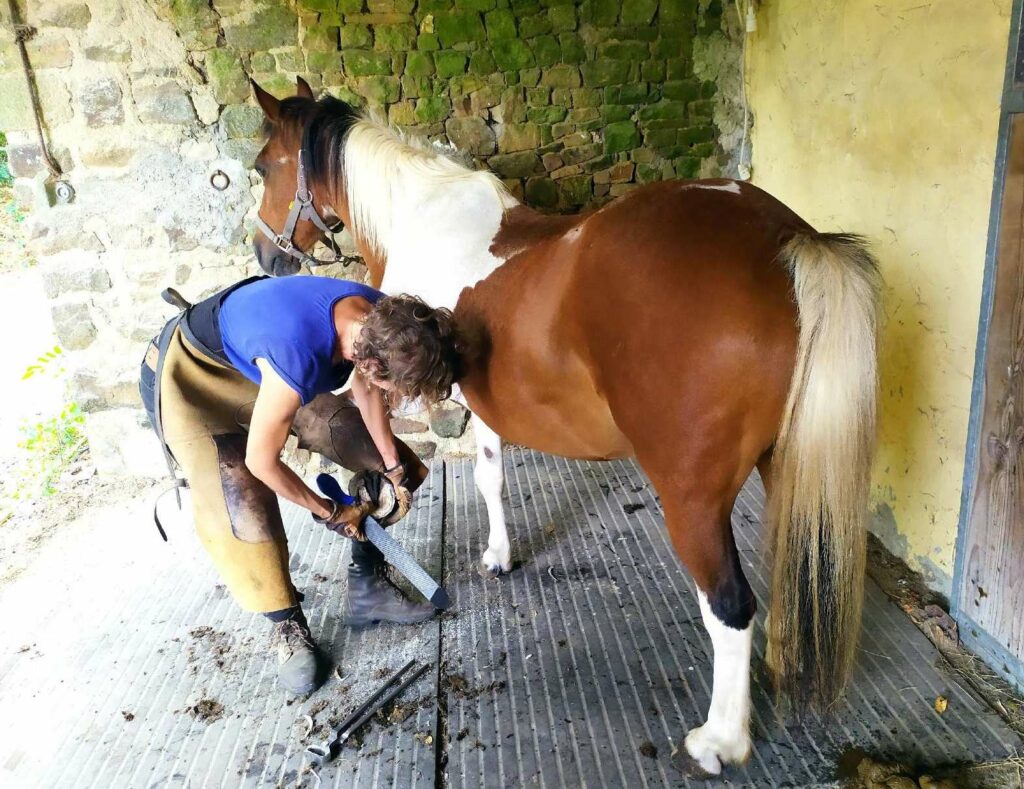 shiatsu-équin-normandie-seine-maritime-eure-parage-physiologie-naturel-chevaux-cheval-bien-être-perrine-serano